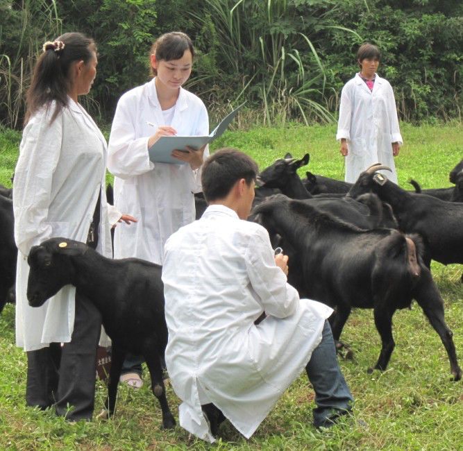 西南民族大学,西南民大网红校区