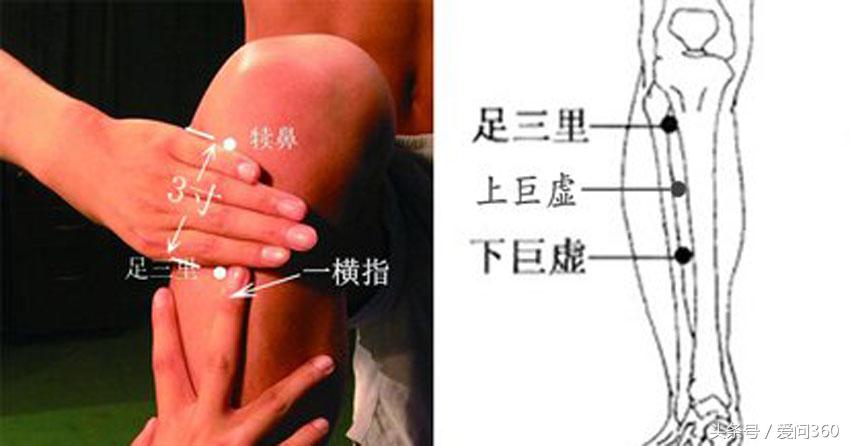 按什么穴位可以提高人的记忆,快速记忆人体穴位的口诀
