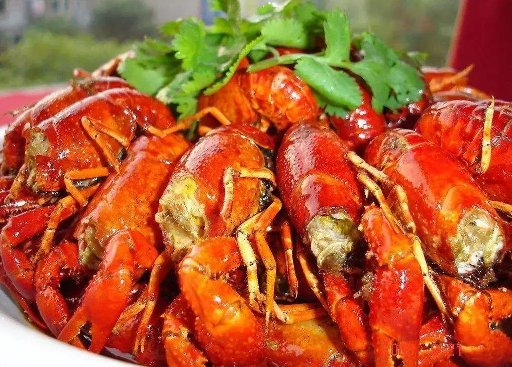 齐山星空露营节,齐岳山露营基地音乐节