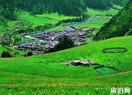 新龙县旅游景点海拔高度,新龙县风景