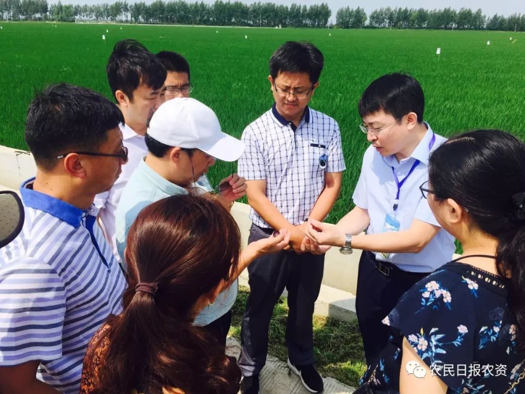 赤眼蜂防治螟虫,赤眼蜂的防治技术