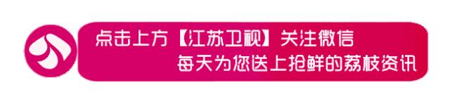 2006年世界杯进球,足坛经典的世界波进球