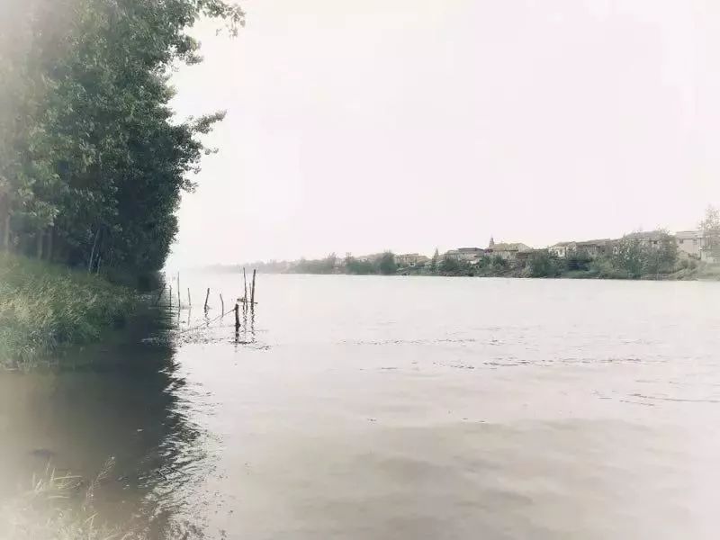 《春寒-凋零野水下鹚滩》作者：原上菁