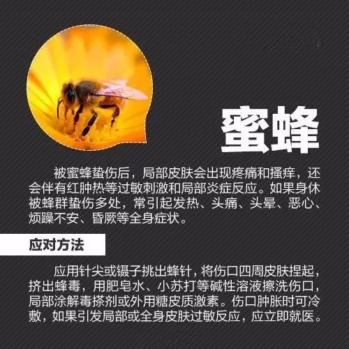 螨虫的三大罪状导致宝宝感染疾病,小孩出现这几种症状说明螨虫成堆