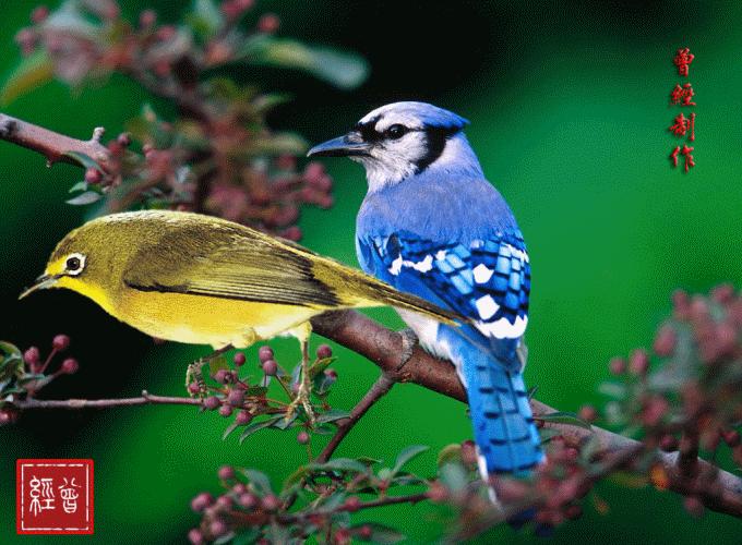 11月10，观音赐福了，快接住，谁打开谁幸福，福福福福福