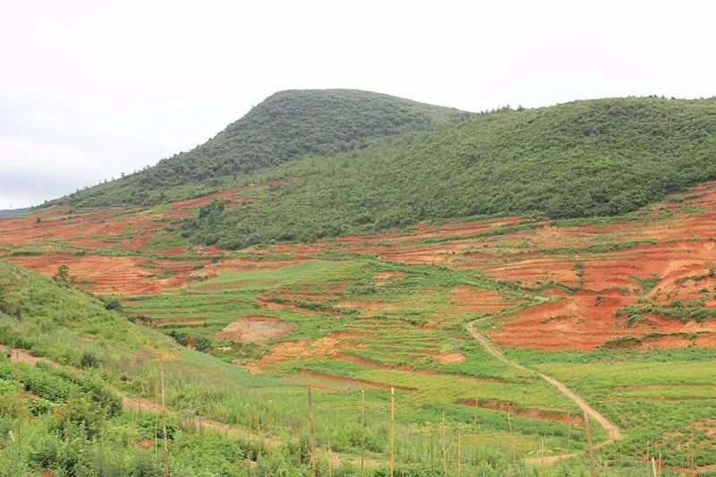 「发现」跳上生态旅游的“舞台”——看泸西阿平村如何美丽嬗变~