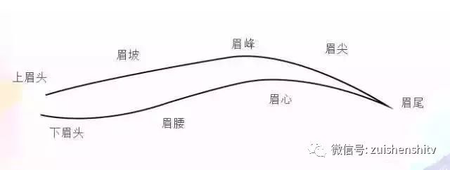 怎样把自己的毛发清理干净,怎么清理自己的毛发