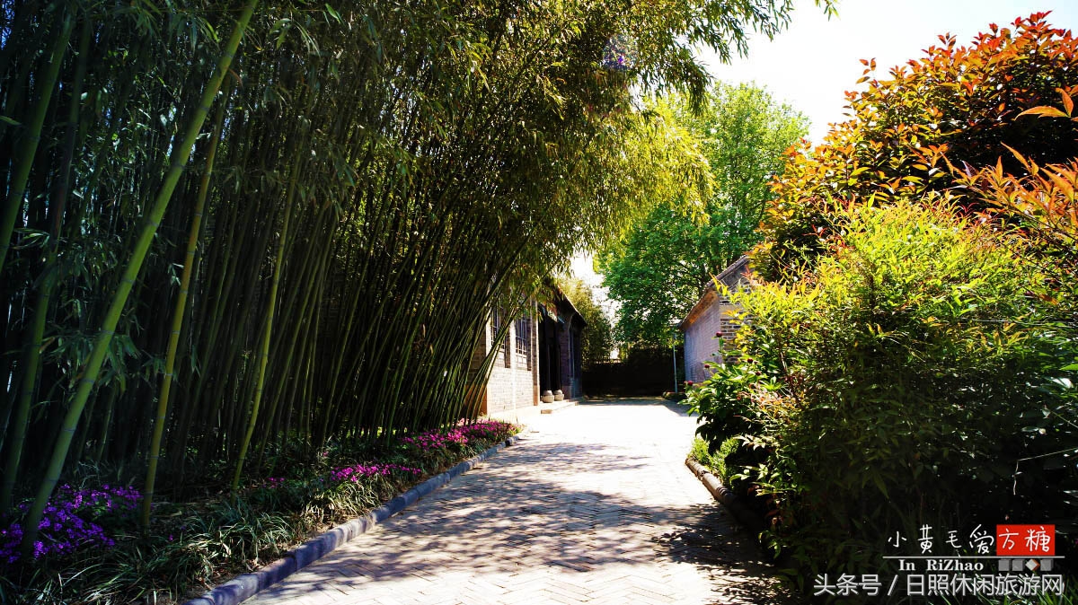 日照浴场海鲜攻略,日照海滨浴场旅游攻略