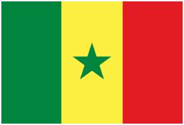 励步分享丨看世界杯，学习国家*旗国**英文名！让你摆脱“伪”球迷~