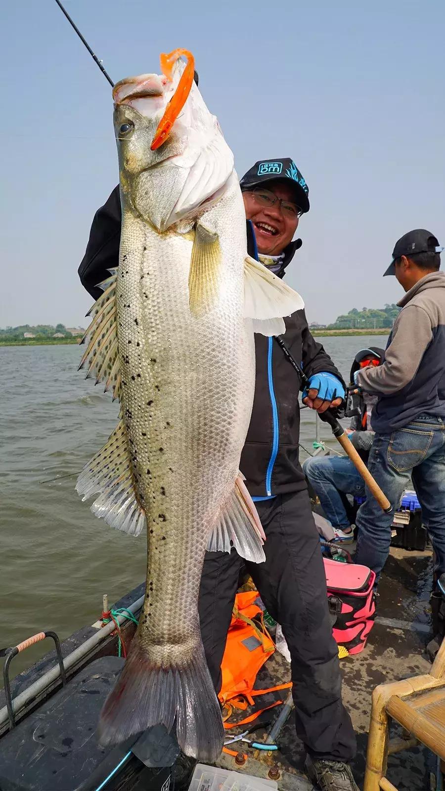 轻量怪物斗巨鲈｜追踪胡陈港水库的怪物2年终得一见