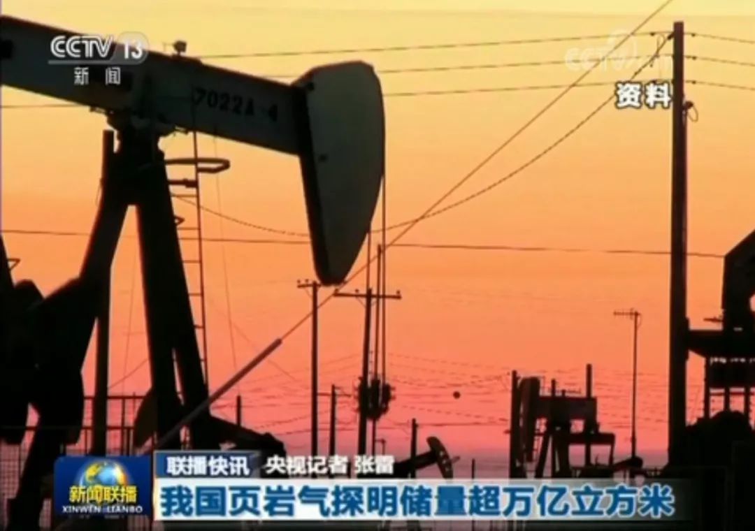 鸿雁知天下视频,2019鸿雁知天下