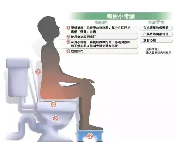 中医诊断学——“观大便,识健康”