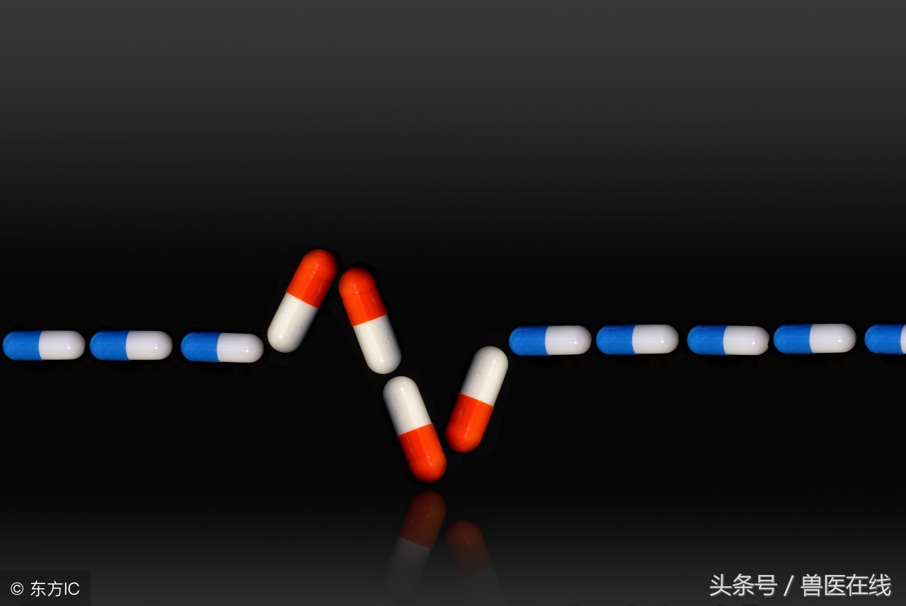 一场阴雨天引发的腹泻，值得养猪人深思！