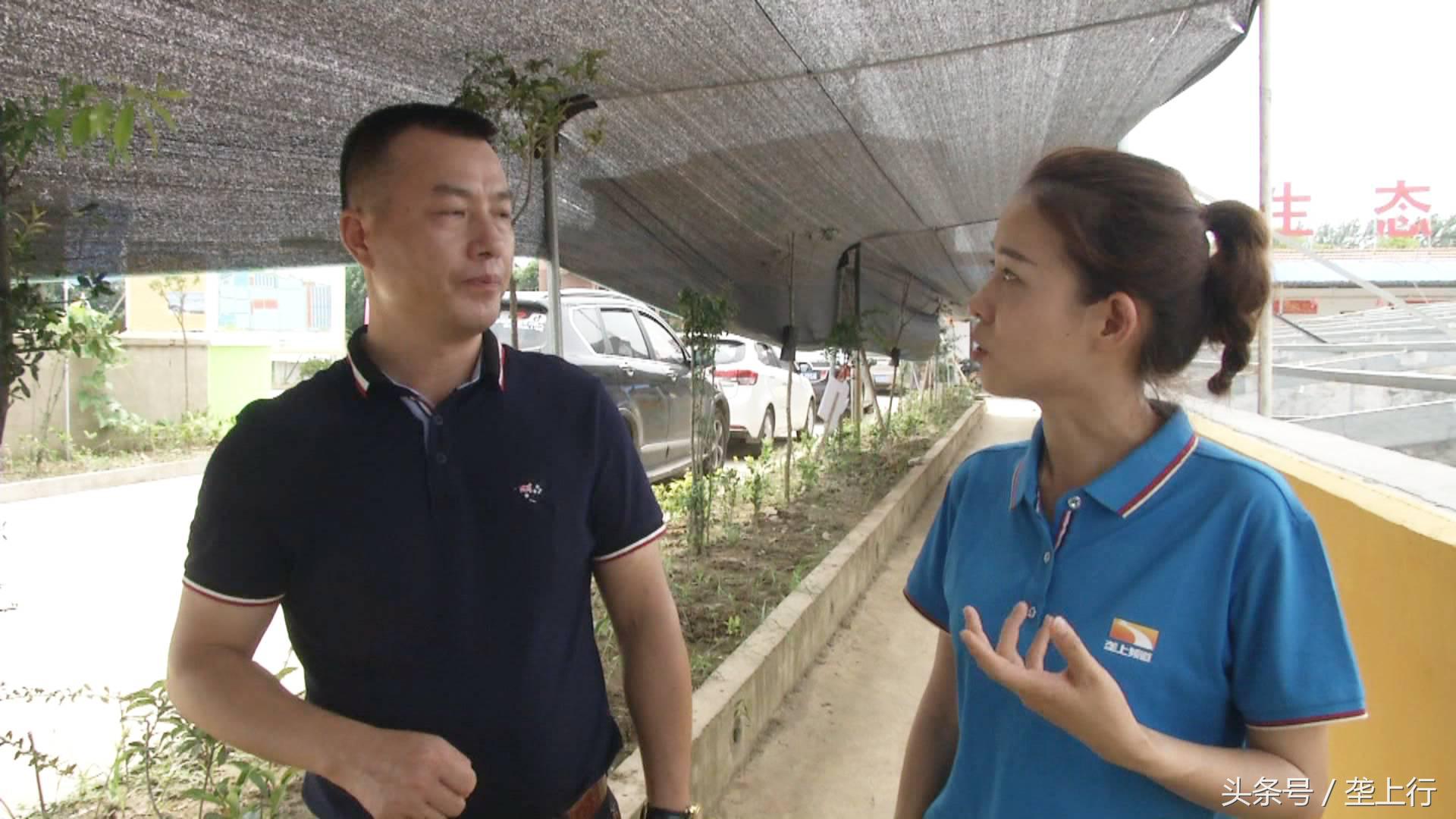 与鳄共舞纪录片,与鳄共舞的视频