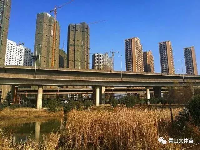 戴家湖附近足球场,戴家湖公园足球场免费吗