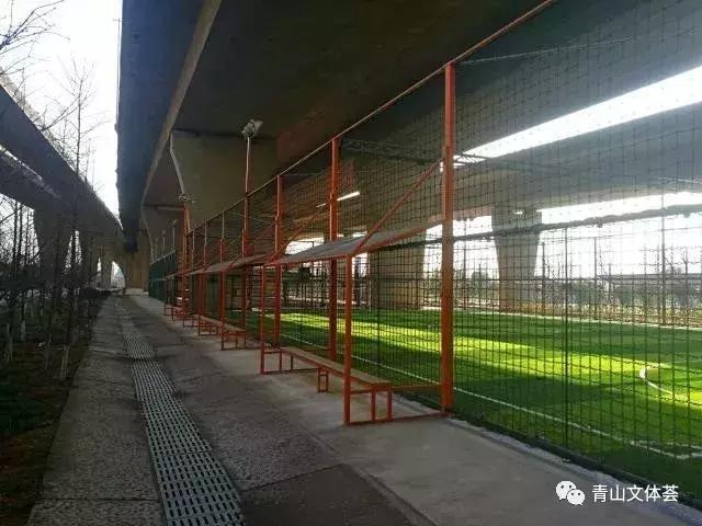 戴家湖附近足球场,戴家湖公园足球场免费吗