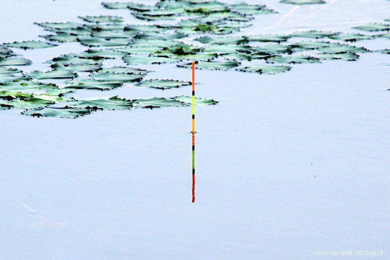 新手钓鱼如何正确调漂,钓鱼的正确调漂方法和技巧