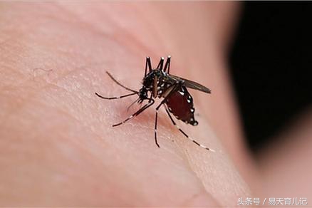 宝宝身上起小红疙瘩，父母注意啦，这可不是蚊子包，别不当回事儿