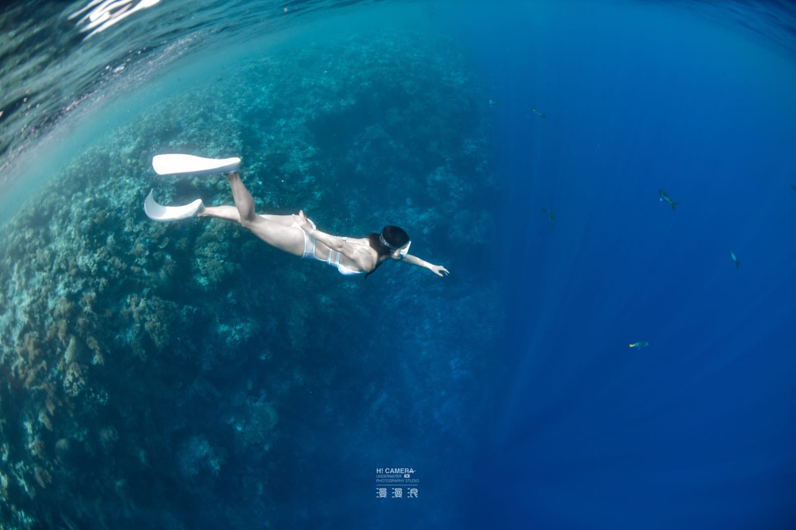 帕劳出游攻略第二天,帕劳最全攻略详细