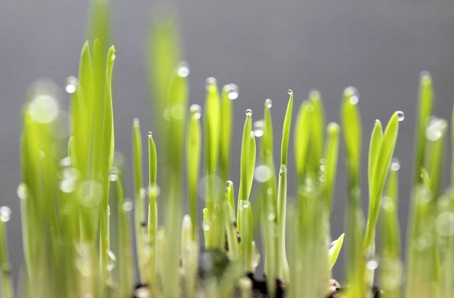 胃炎夏季该怎么预防,夏季胃炎发作