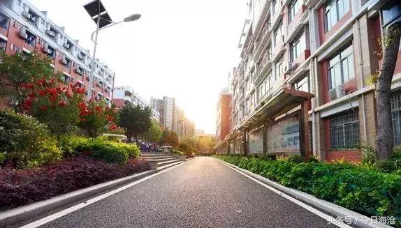 玩泥巴、踢球、跳舞也能上大学，海沧这中学咋这么有特点？