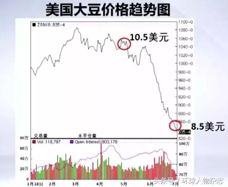 十问美国全文原版,特朗普关税对美国贸易的影响