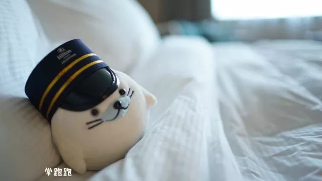 将酒店建在五里河体育场旧址这个希尔顿酒店可不止是个足球迷