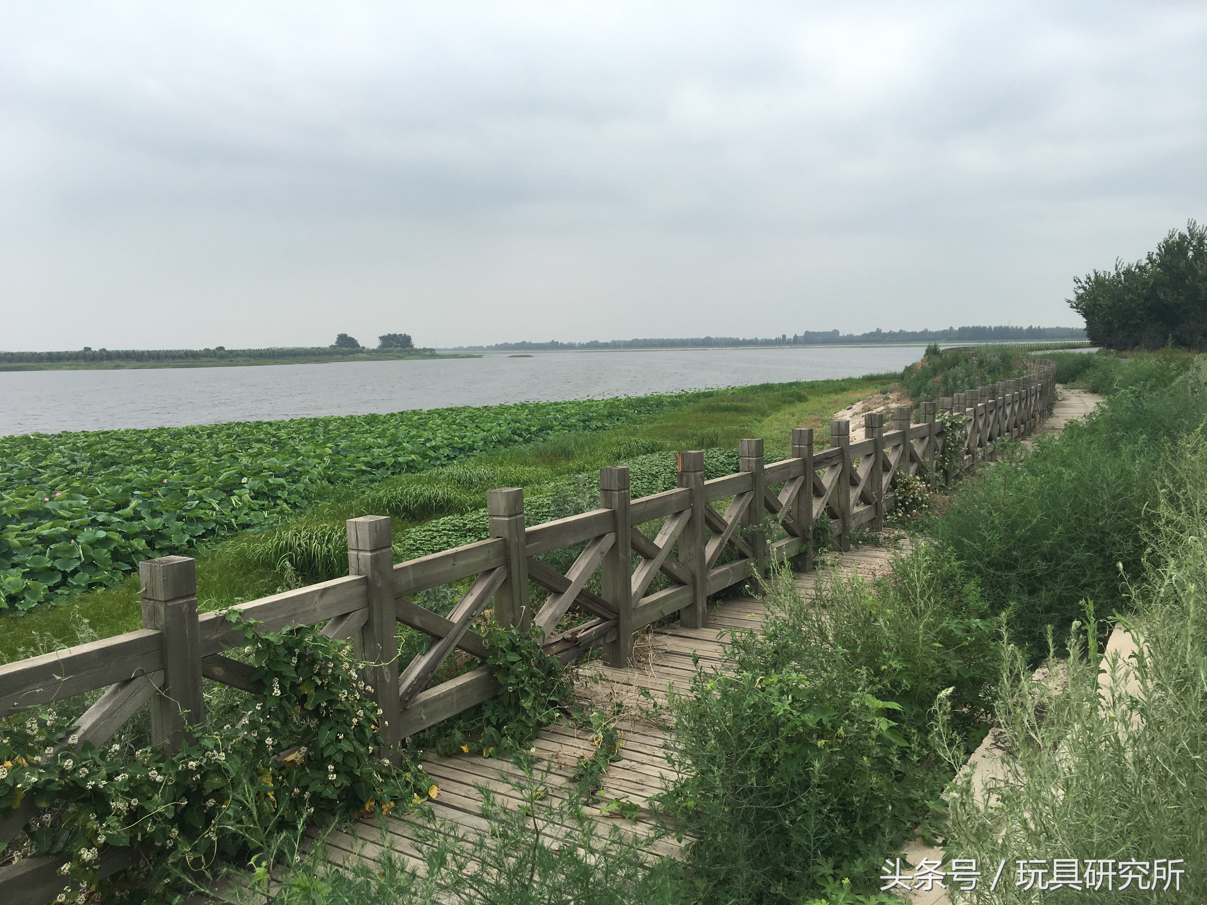 辽中珍珠湖看荷花带着孩子去哪儿玩珍珠湖环湖游沈阳周边游