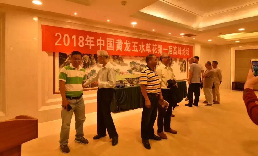 黄龙玉水草花亮点,顶级黄龙玉水草花