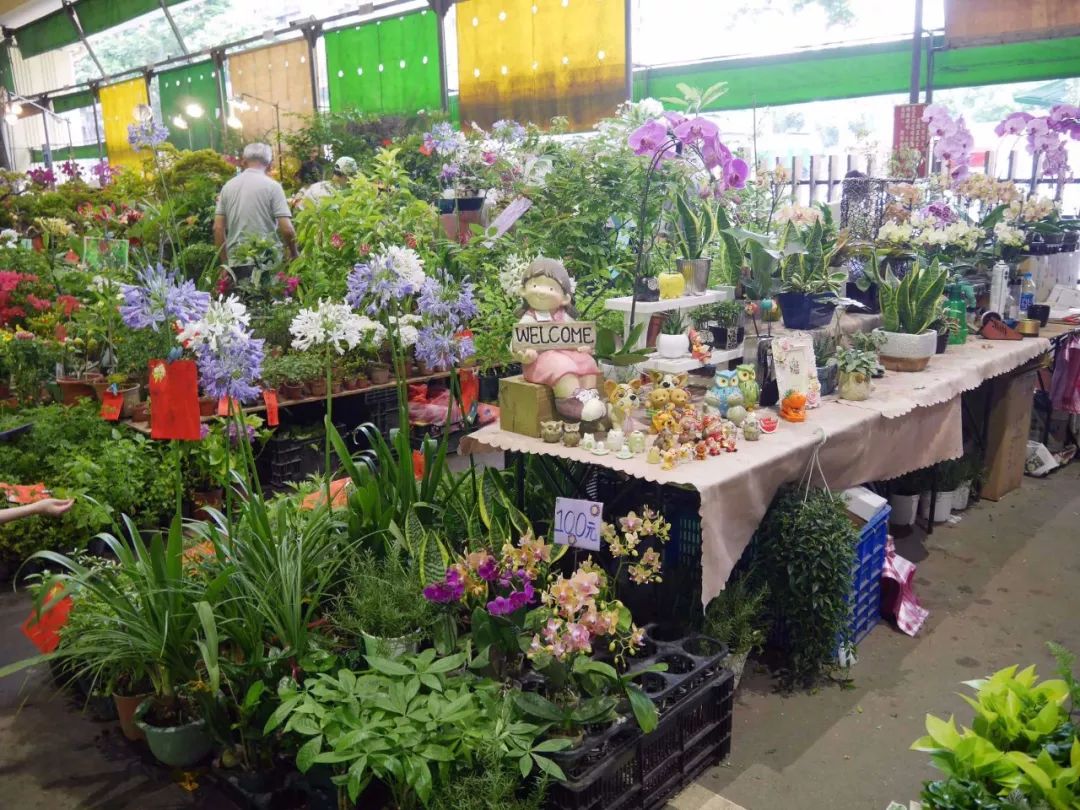 台北高架桥,台北高架