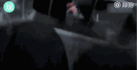 泰国沉船事故，副总理甩锅：罪在中国人，是中国人自己害自己！但真相随即浮出水面……