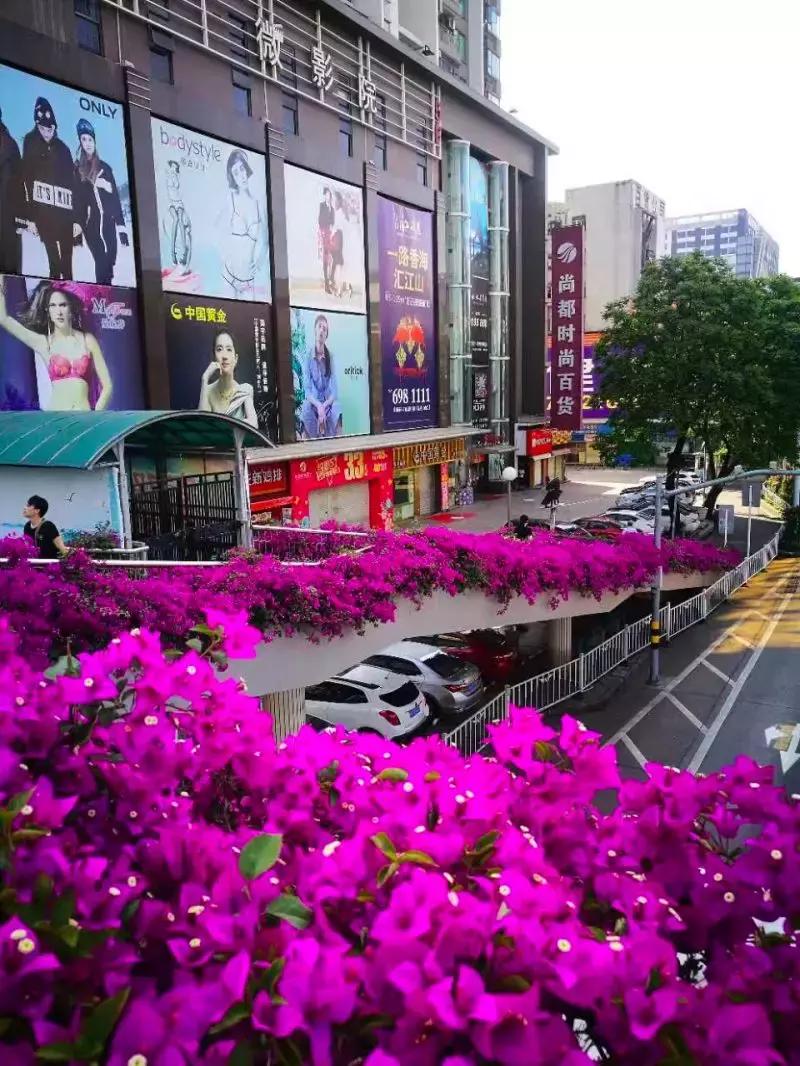 再见了珠海百货,再见了新香洲