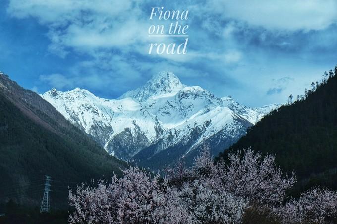 *藏西**，我历经十里桃花劫，只为寻心之所往