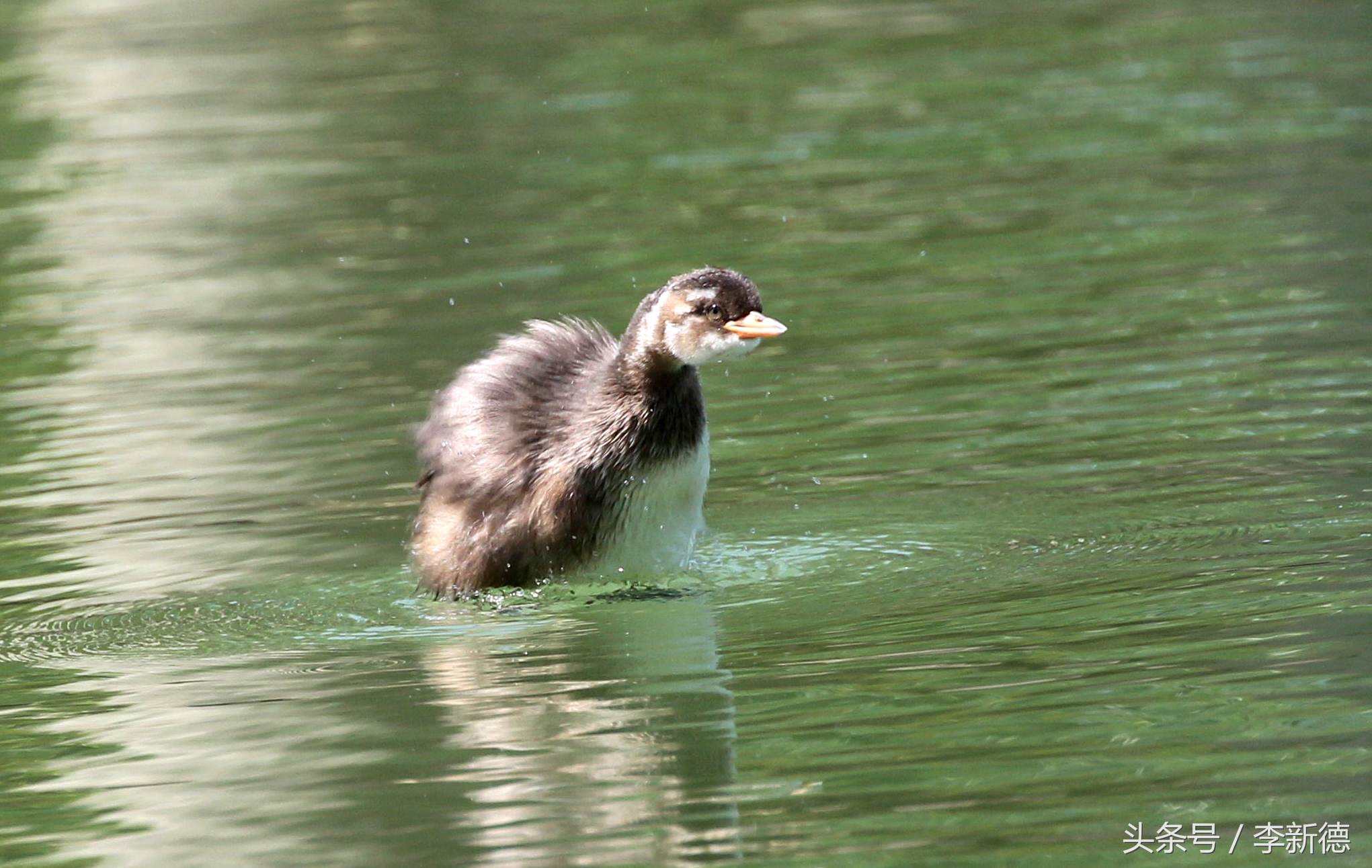 佳能5d3配24105镜头拍人像,佳能5d3501.8镜头拍合照