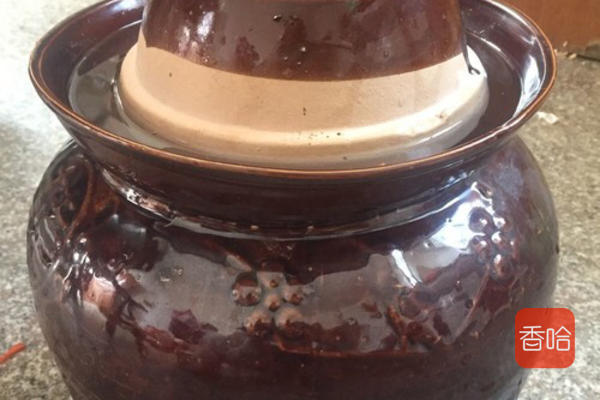 自制韩国泡菜家常做法,韩国泡菜腌葱的制作方法