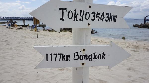 一个人的旅行由风决定,一个人的旅行头像