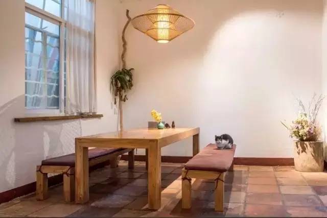 广州美食与香港对比,十大经典广州素菜