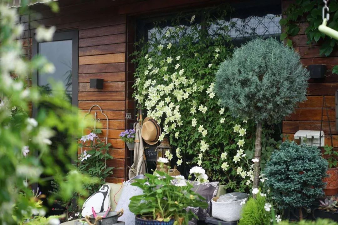 39岁，她不安分得很漂亮天台折腾两年，随后发出的照片，惊艳了所有人