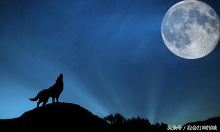 周公解梦八种梦预示你有好运,周公解梦梦见什么运势不错