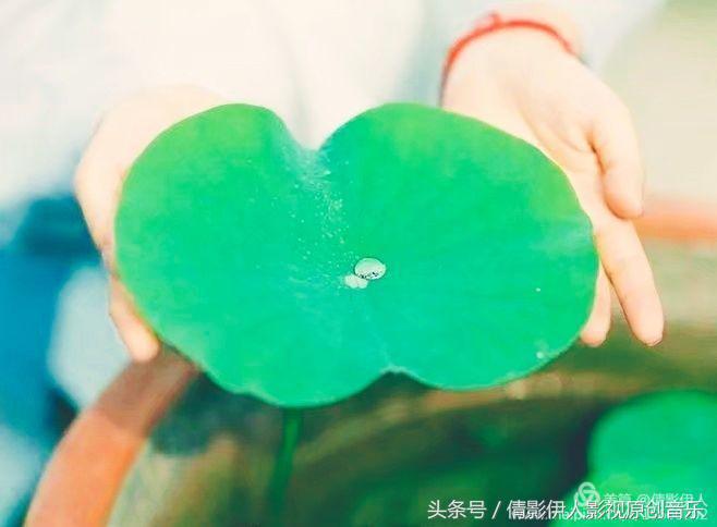 夏荷晕倒在海教官怀里,夏荷最美的十首诗