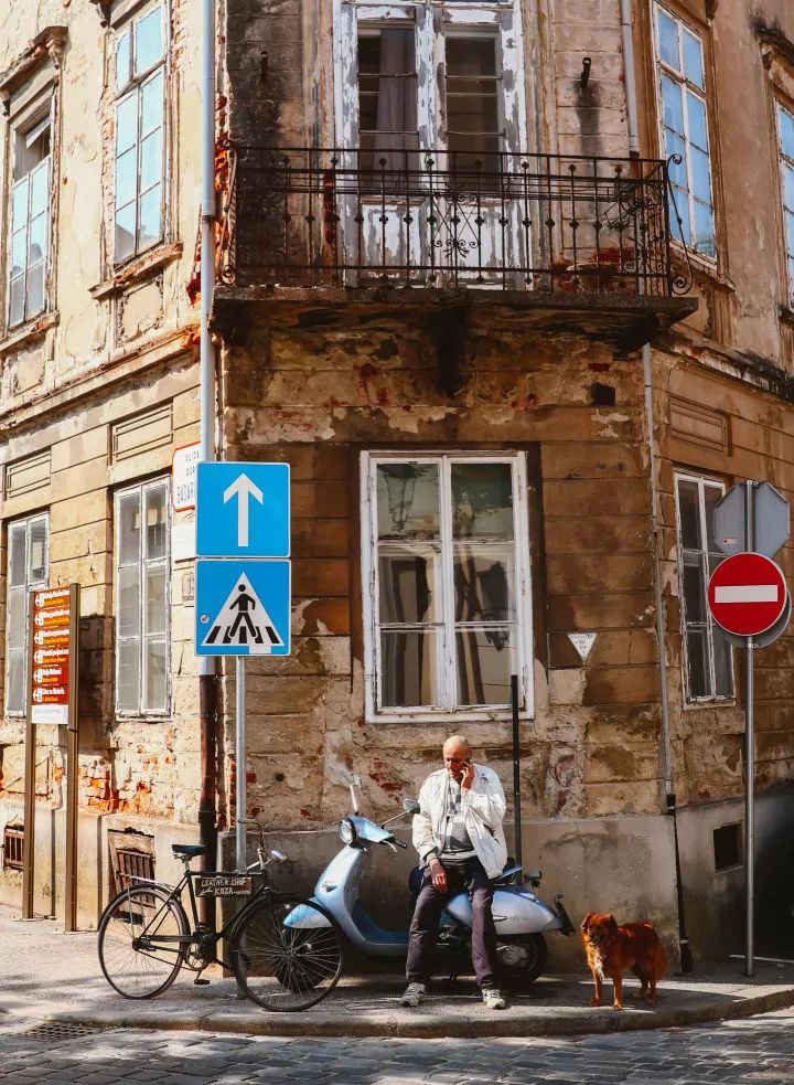 一切从梵高说起,一切从煎蛋说起