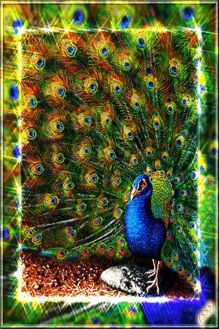 祝你天天快乐早上好图片,祝大家早上好天天有个好心情