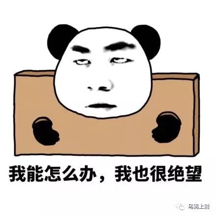 恭喜非洲劲旅法国队喜提冠军!