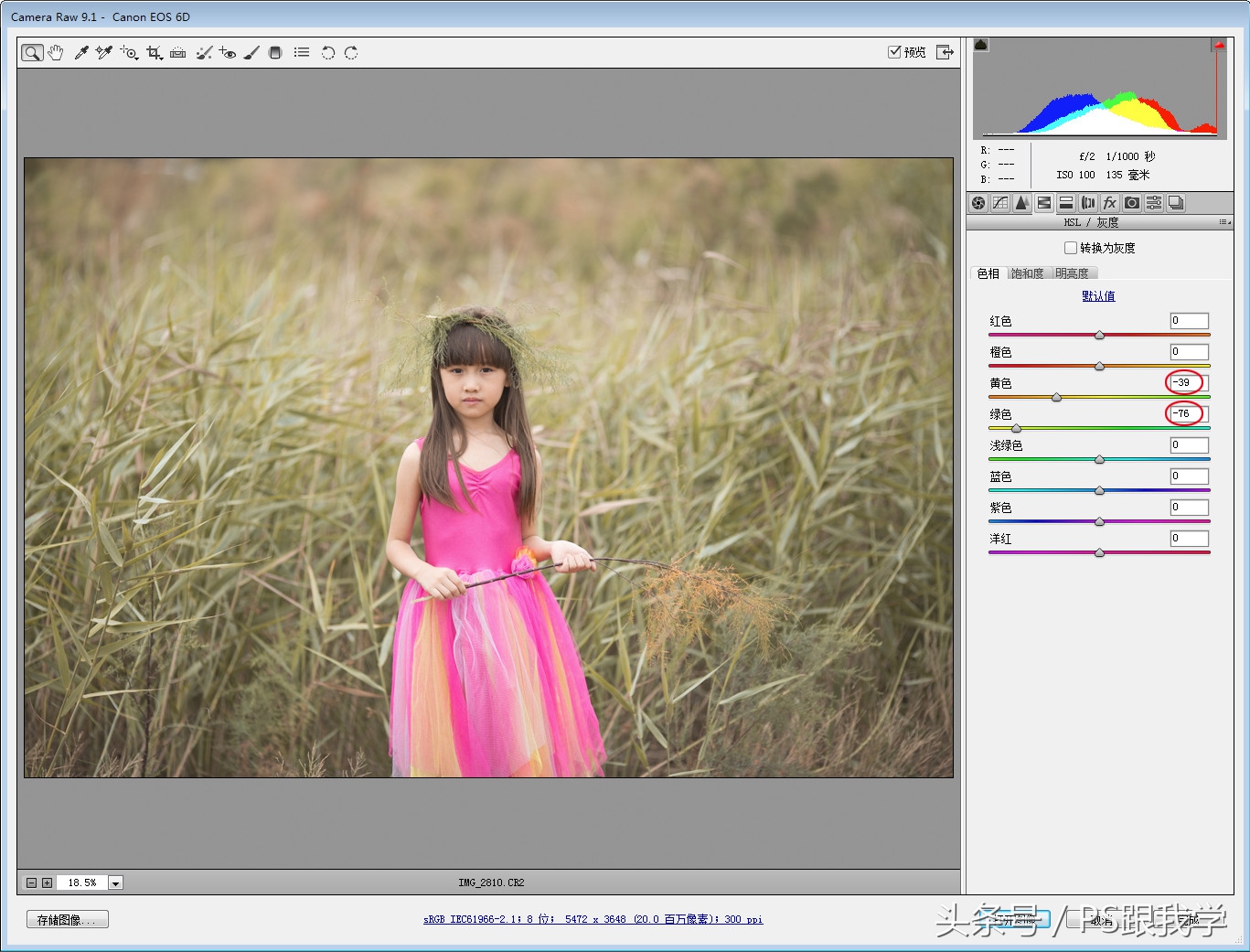 camera照片调色教程,如何用PS2018调整照片色彩