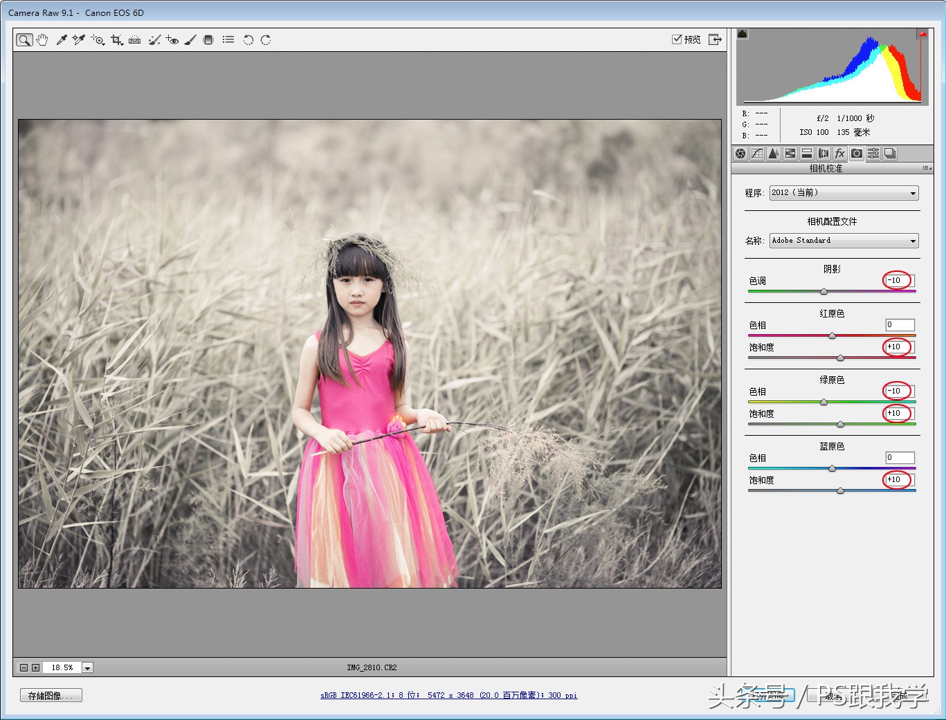 camera照片调色教程,如何用PS2018调整照片色彩