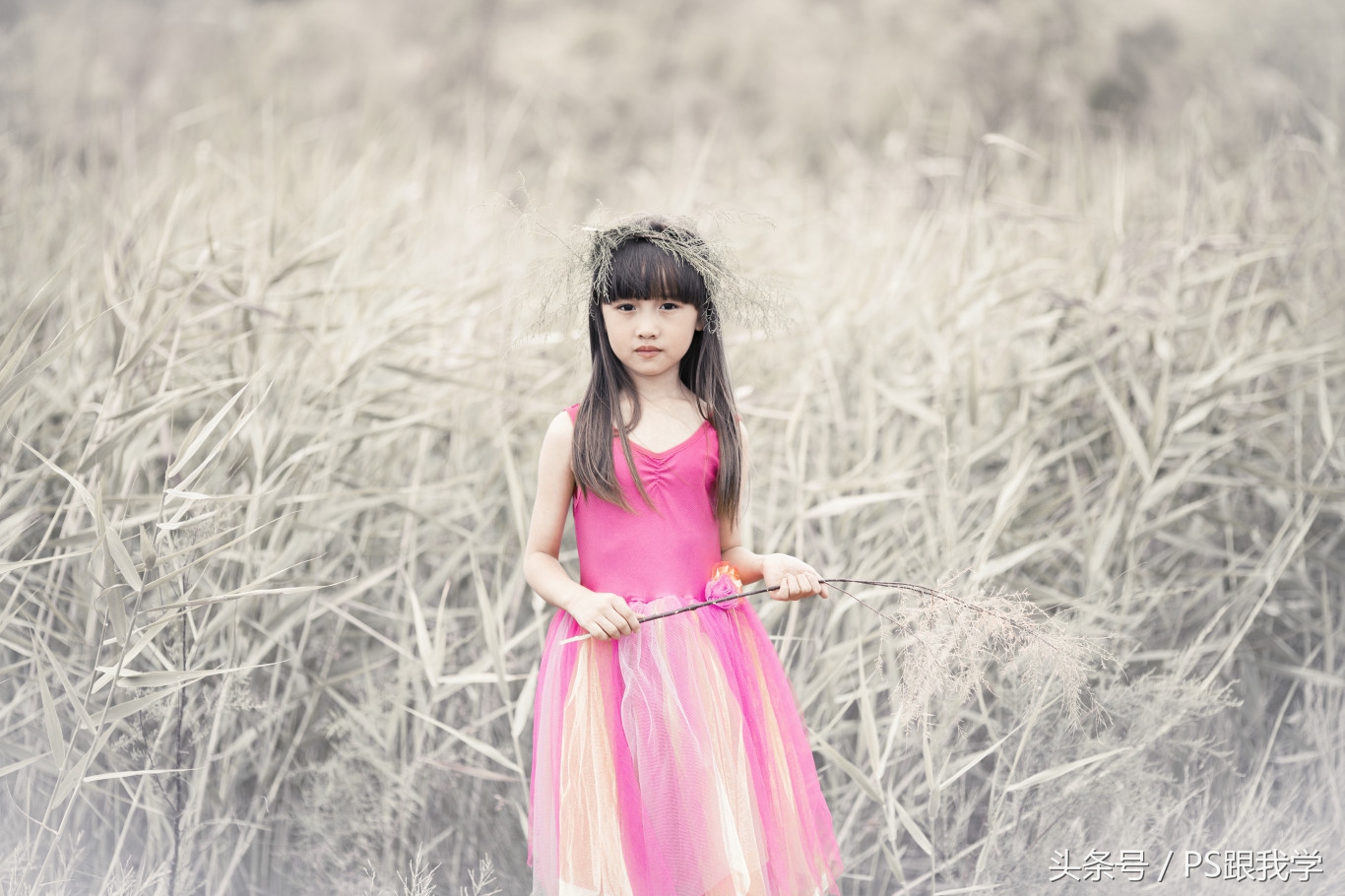 camera照片调色教程,如何用PS2018调整照片色彩