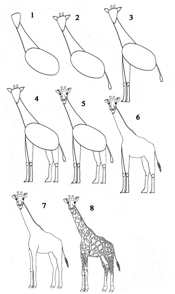 1000000个可爱动物简笔画,10000种超萌动物简笔画大全