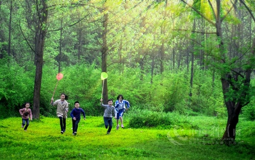 作家俞梁波：从萧山到利川，我走进“绿世界”