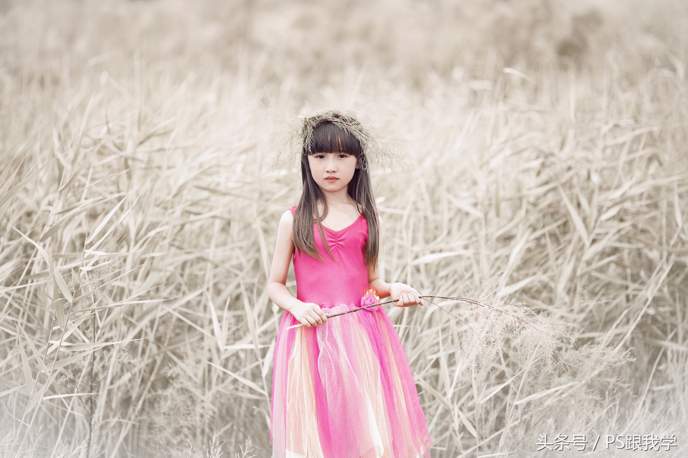 camera照片调色教程,如何用PS2018调整照片色彩