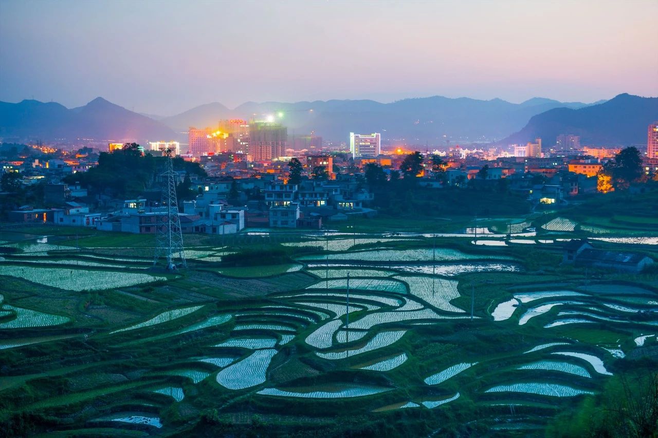 一个失业大叔，用1500元拍下自己幸福的父母，豆瓣9.2分！